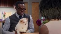 Click to watch 'A Fractured Inheritance...' (popup) The Good Place